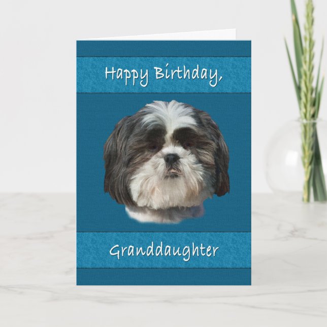 Carte Anniversaire, Petite-fille, Chih Tzu Chien (Devant)