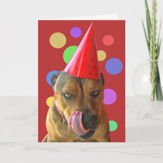 Carte Anniversaire Pit Bull mignon Chien avec Casquette  (Devant)