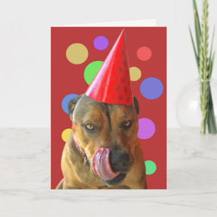 Carte Anniversaire Pit Bull mignon Chien avec Casquette 