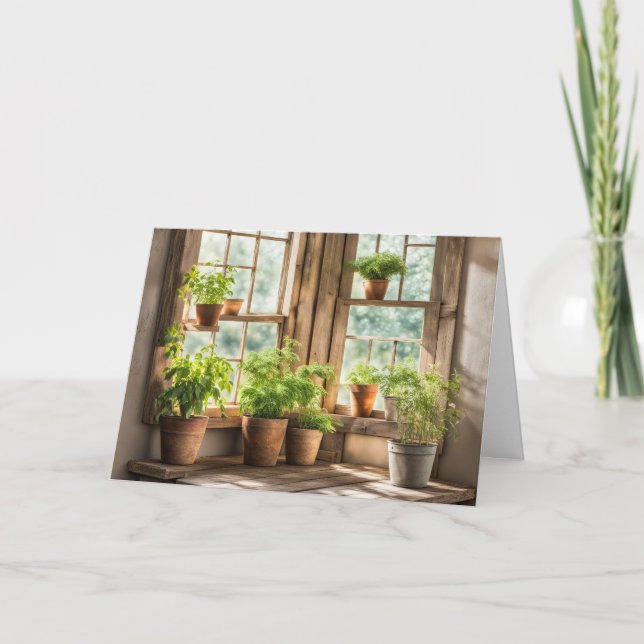 Carte Anniversaire Plantes Posés Dans Une Fenêtre Ensole (Devant)