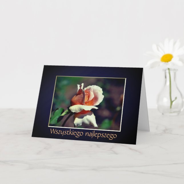 Carte Anniversaire polonais Sto Lat Rosebud Flower (Petite plante)
