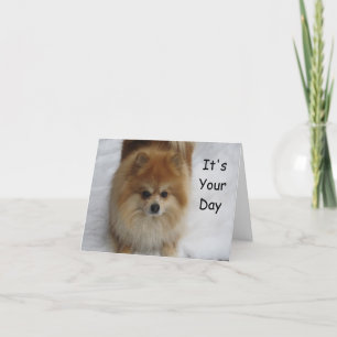 CARTE ANNIVERSAIRE POMERANIEN REMERCIE