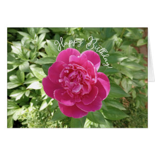 Carte Anniversaire Pony Rose Vibrant