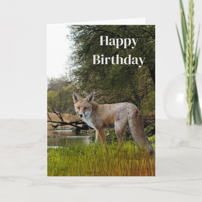 Carte Anniversaire pour hommes Renard rouge Faune et Nat (Devant)