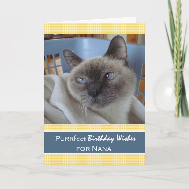 Carte Anniversaire pour Nana, Chat de Siamese dans Panie (Devant)
