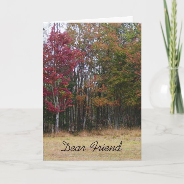 Carte Anniversaire pour un ami, les arbres de chute. (Devant)