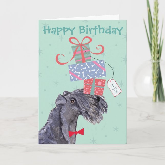 Carte Anniversaire présente Kerry Blue Terrier (Devant)