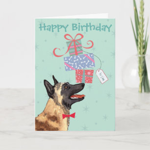 Carte Anniversaire présente Malinois