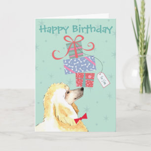 Carte Anniversaire Présente Poodle