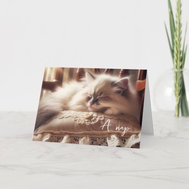 Carte Anniversaire Ragdoll Kitten Sur Coussin (Devant)