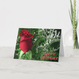 Carte Anniversaire Red Rose Bud