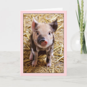 Carte Anniversaire Rose Cochon
