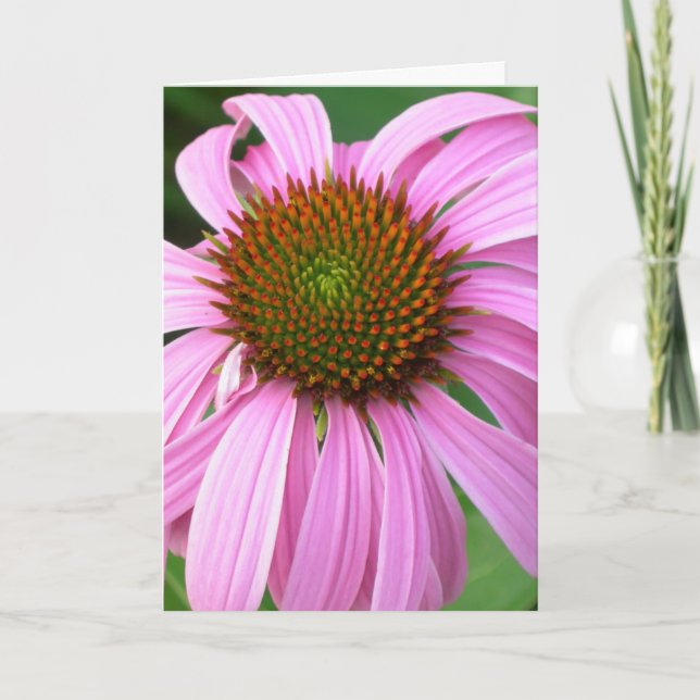 Carte Anniversaire rose de Coneflower (Devant)