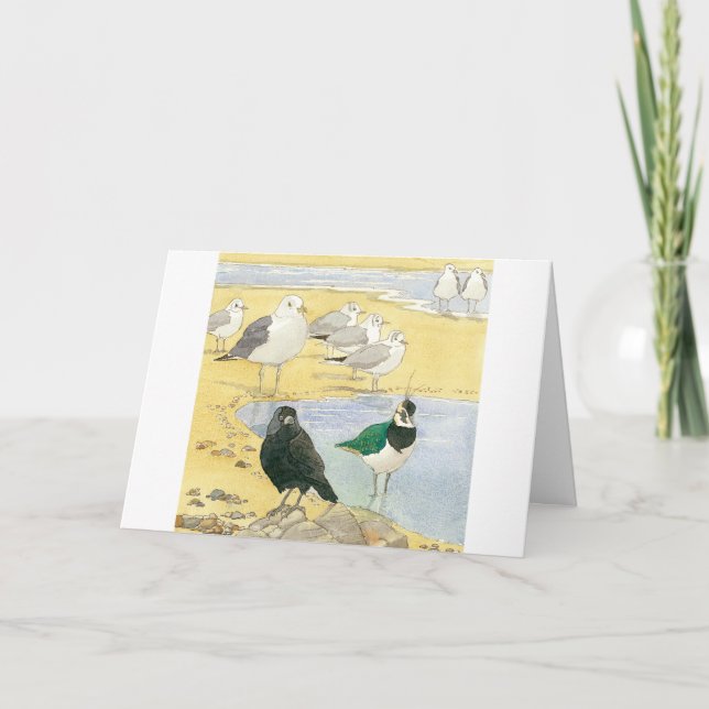 Carte Anniversaire Seabird Jackdaw Lapage Beach Nature C (Devant)