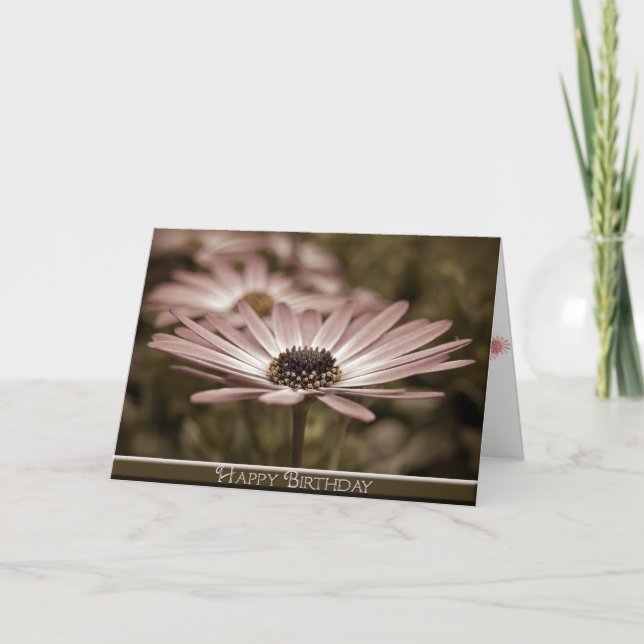 Carte Anniversaire Sepia Daisy (Devant)