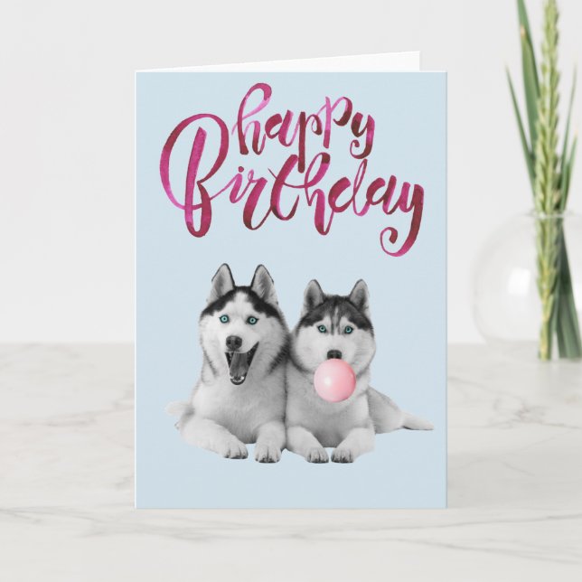 Carte Anniversaire Sibérie Husky Chien Animal Bubble Gum (Devant)