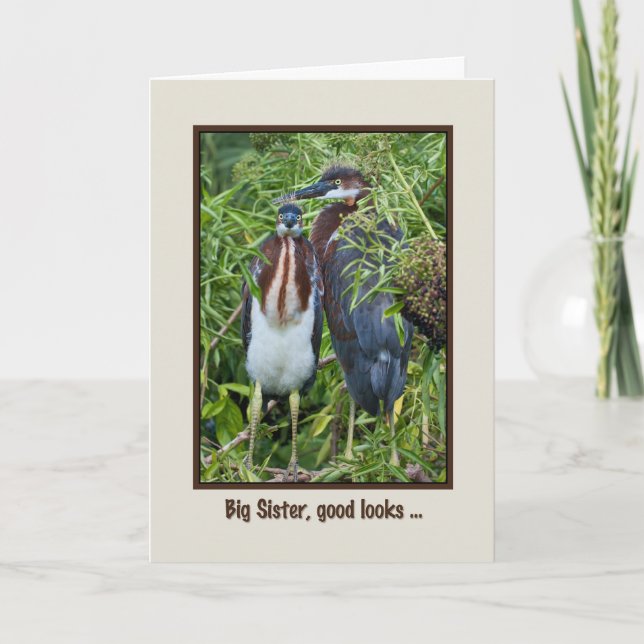 Carte Anniversaire, Soeur, Deux Époux Heron Tricolés (Devant)