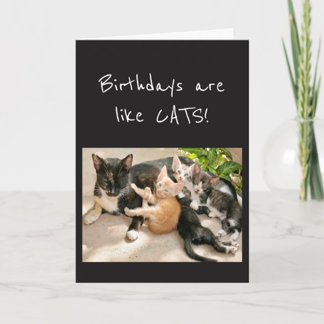 Carte Anniversaire sont comme Chats Humour animal (Devant)
