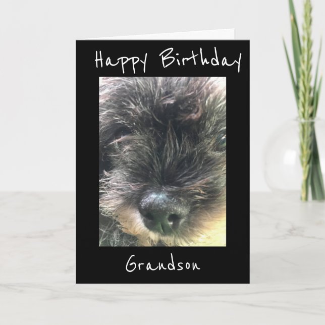 CARTE ANNIVERSAIRE SOUHAITE **GRANDSON** (Devant)