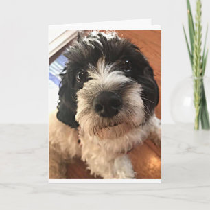 CARTE ANNIVERSAIRE SOUHAITE UN *MEILLEUR AMI* DE TOUTES 