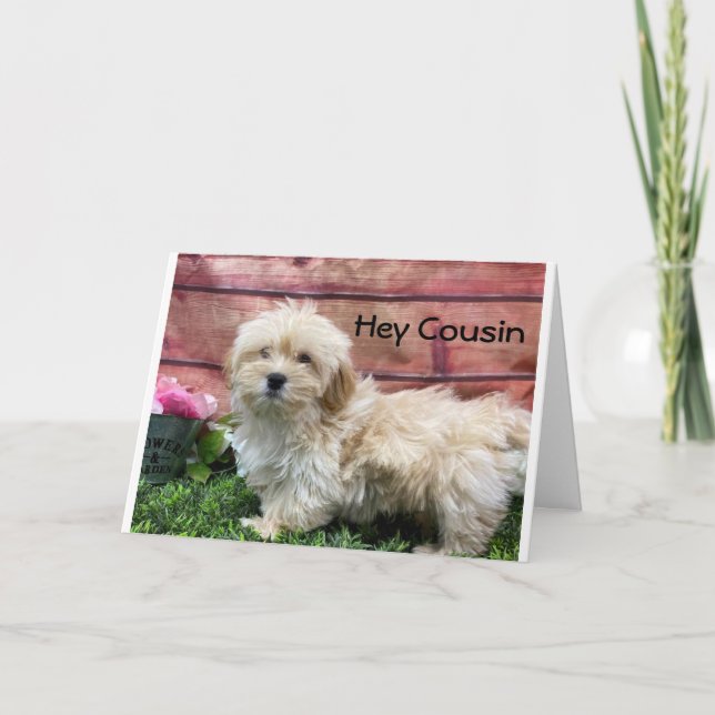 CARTE ANNIVERSAIRE SOUHAITEZ "COUSIN" & "BEST AMI" CARD (Devant)
