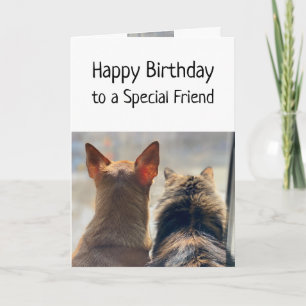 Carte Anniversaire Souhaits Spécial Ami Cute Animaux Ani