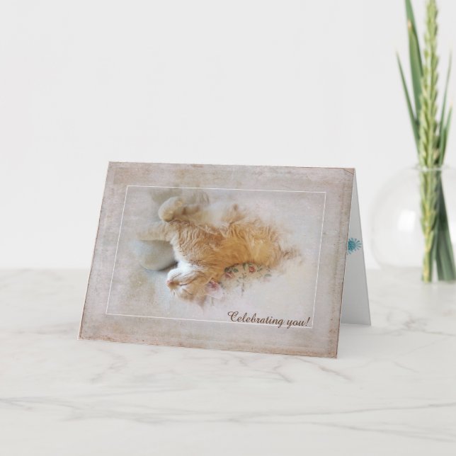 Carte anniversaire tabby cat (Devant)