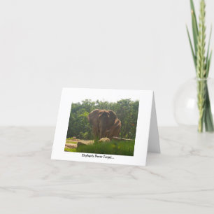 Carte Anniversaire tardif--Les éléphants n'oublient