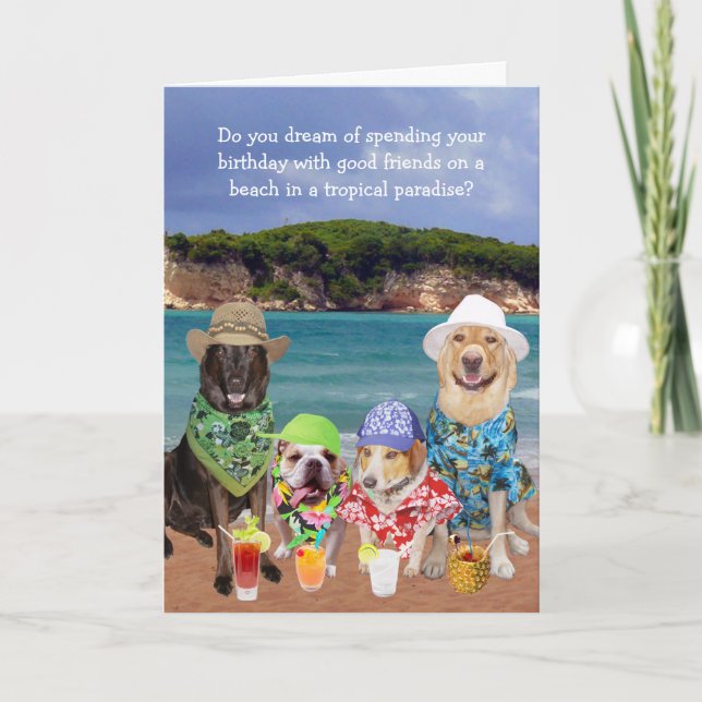 Carte Anniversaire tropical de paradis de chiens drôles (Devant)