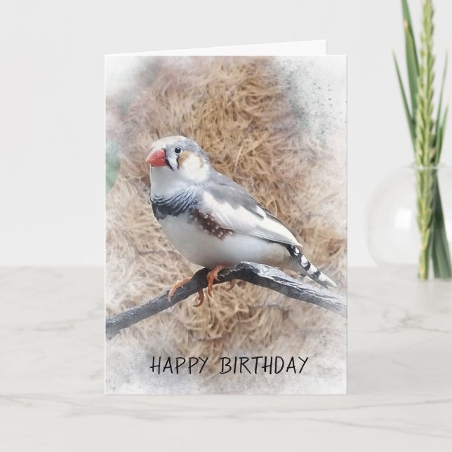 Carte anniversaire-zebra finch sur branche (Devant)
