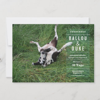 Carte Annonce de chiots