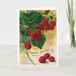 Carte Annonce vintage pour des usines de framboise,