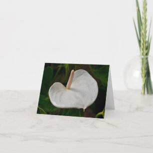 Carte Anthurium Blanc
