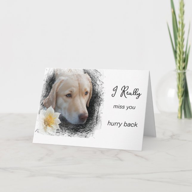 Carte *~  AP61 Flower Miss You - Triste Chien (Devant)