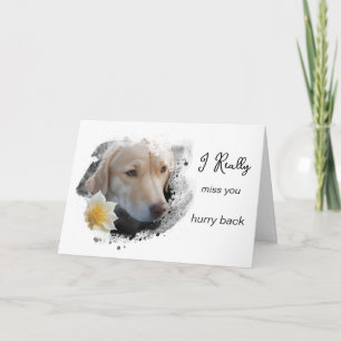 Carte *~ AP61 Triste Lab Retriever Fleur T'attends Vite