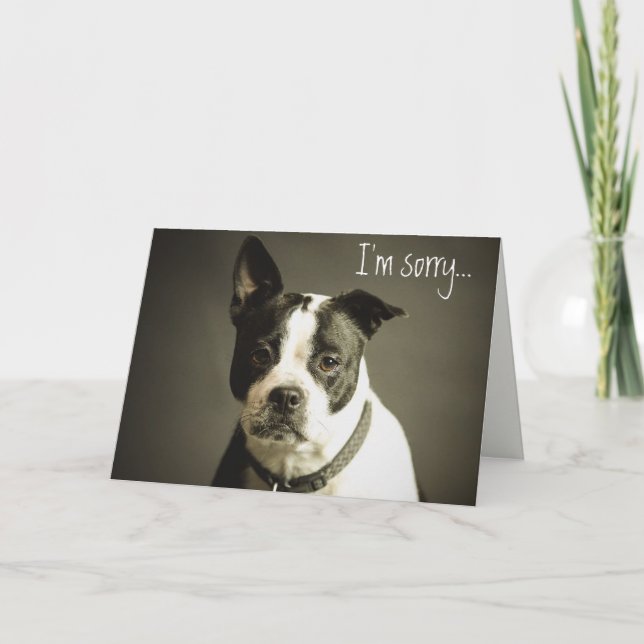 Carte Apologie de chien triste modifiable (Devant)