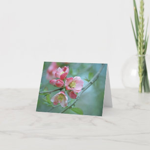 Carte Apple Blossom #P0356