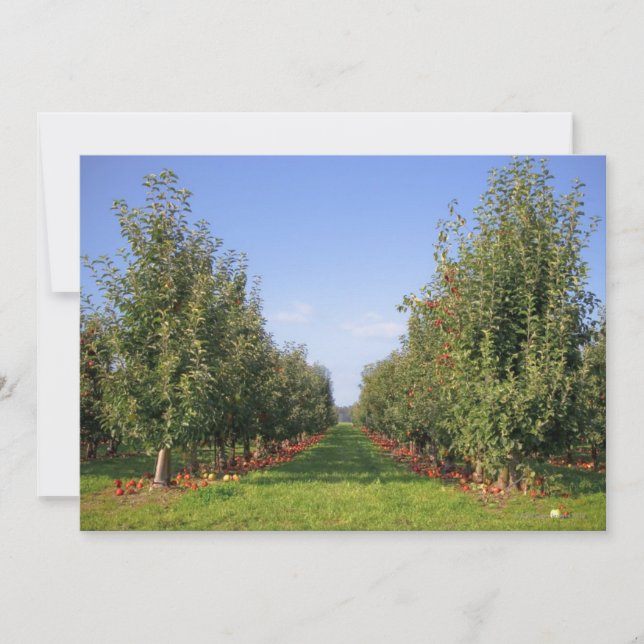 Carte Apple Orchard (Devant)