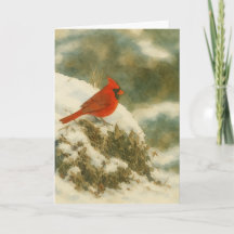 Aquarelle cardinale d'hiver_1