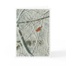 Aquarelle cardinale d'hiver_3