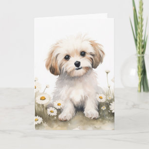 Carte Aquarelle Chien Dans Les Marguerites Pour Annivers