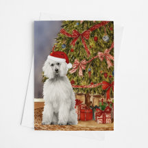 Aquarelle de caniche sous l'arbre de Noël