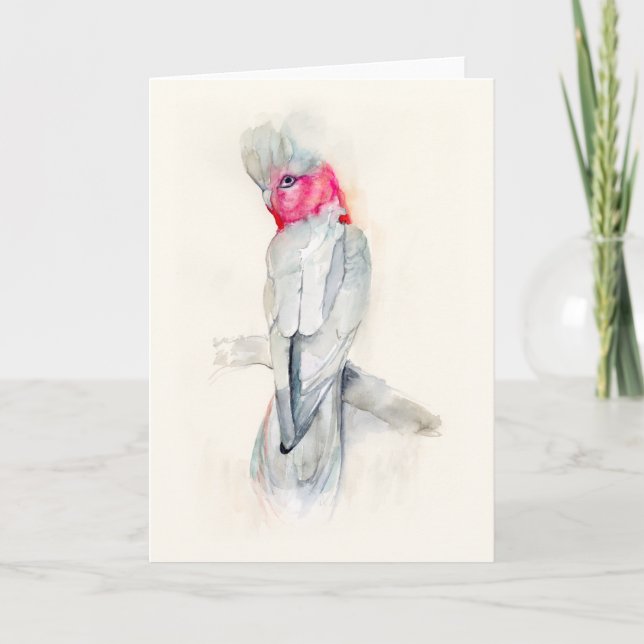 Carte Aquarelle de Cockatoo (Devant)