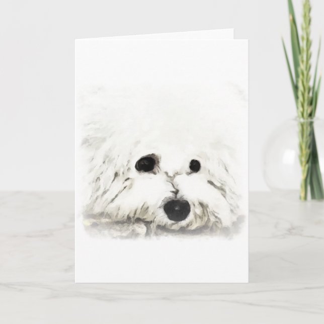 Carte Aquarelle de tête de Bichon artistique (Devant)