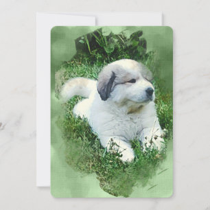 Carte Aquarelle Grand Pyrénées Chiot - Relaxant