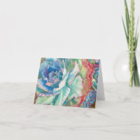 Aquarelle hérissée d'Echeveria par DLB