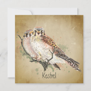 Carte Aquarelle Kestrel Falcon Faune Oiseau Art
