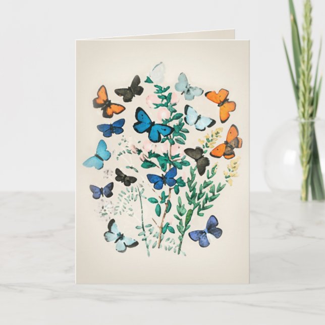 Carte Aquarelle papillon vintage (Devant)