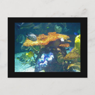Carte Aquarium