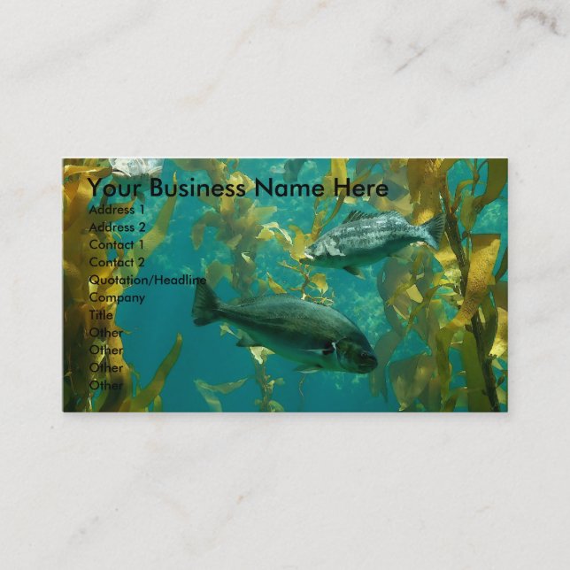 Carte aquatique (Devant)